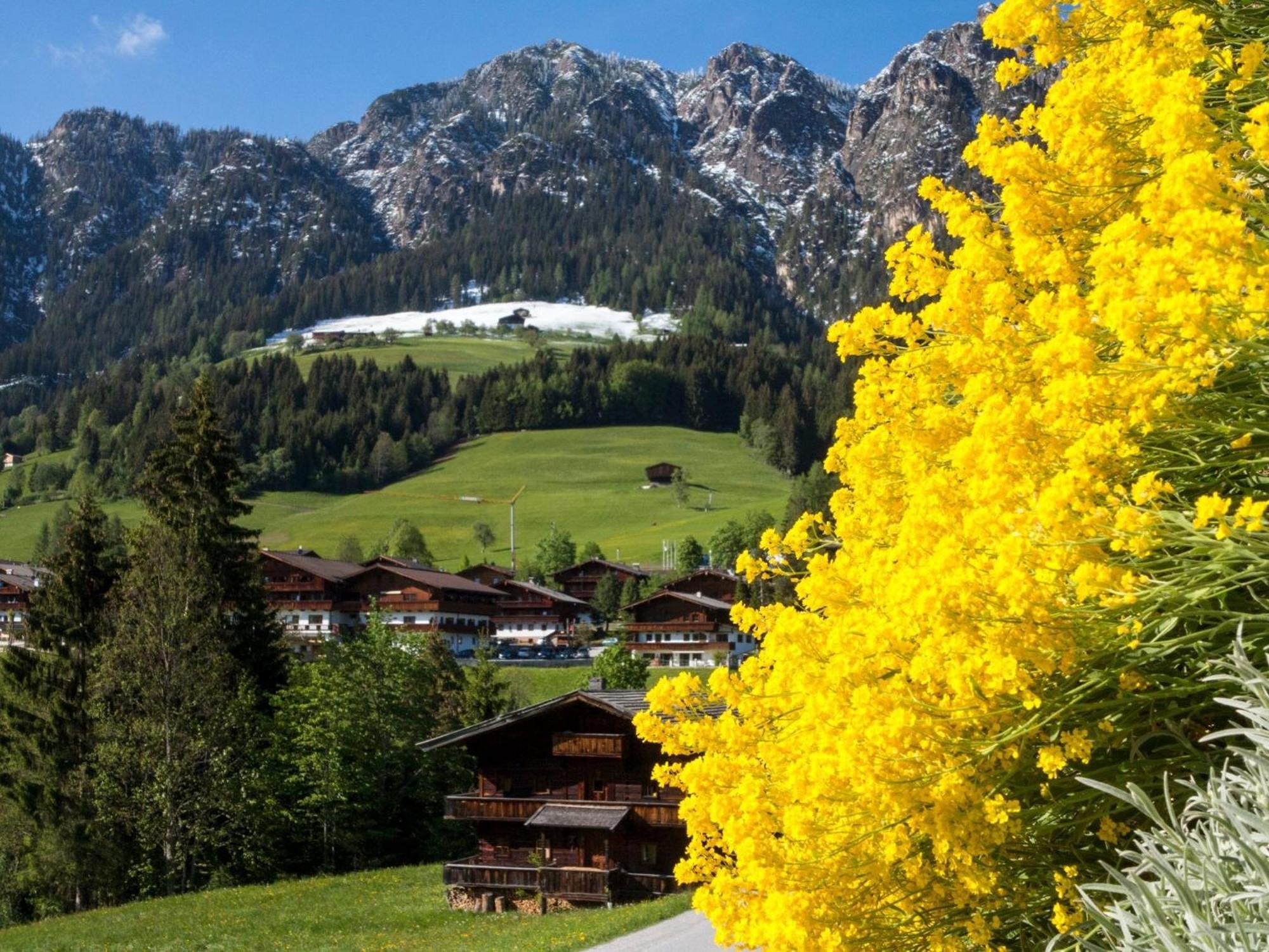 Bergwald Apartamento Alpbach Exterior foto